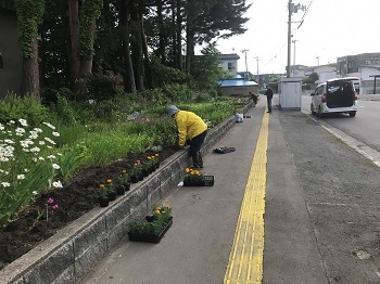 写真:20220618花壇1