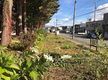 写真:20221107花壇片付け2