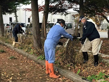 写真:20221113カシス片付け2