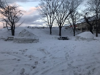 写真:20230109雪だるま広場2