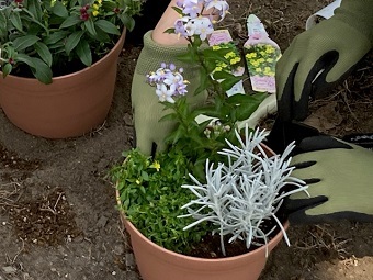 写真:植えていきます