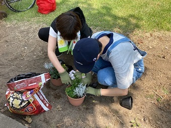 写真:親子で植える様子