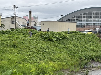 横内川の清掃03