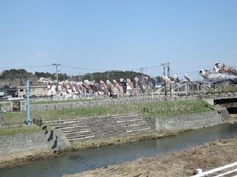 写真:2022新城こいのぼり3