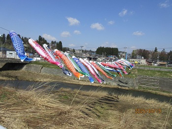 鯉のぼり（3）
