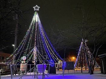 イルミネーションの写真1