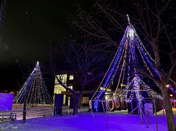 イルミネーションの写真2