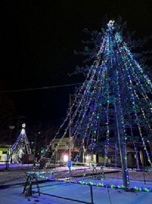 イルミネーションの写真3