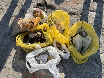写真：ゴミ収集の成果