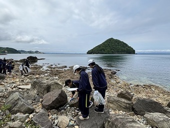 写真:清掃活動の様子2