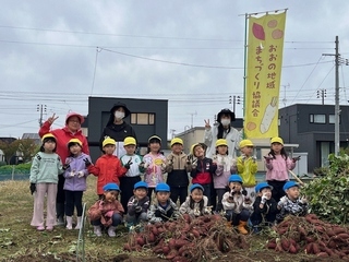 サツマイモ収穫