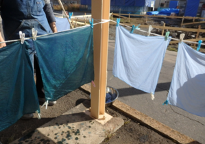 写真:大野藍染め4