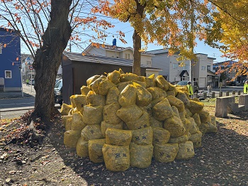 写真：落ち葉が集まり、地域がきれいになりました