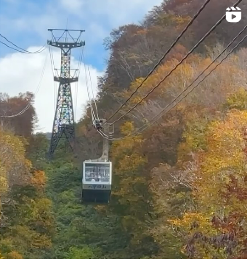 （外部リンク・新しいウインドウで開きます）