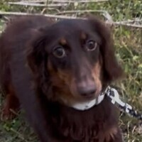 写真：こうたろう