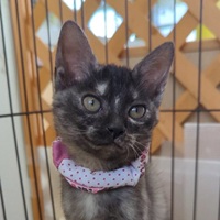 もっちゃん写真