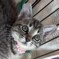 つぶら写真