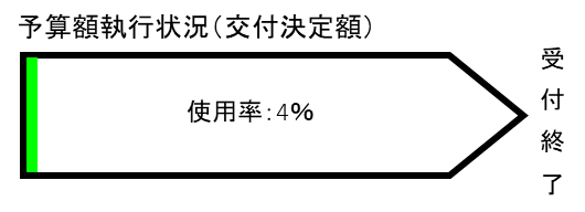 予算額執行状況(交付決定額)