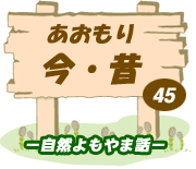 荡E45|Rܘb|