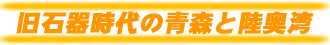 Ί펞̐XƗp
