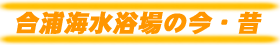YC̍E