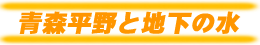 Xƒn̐