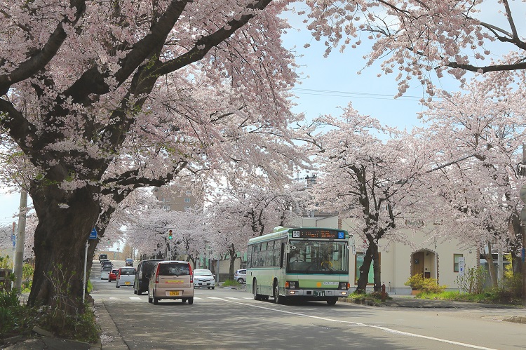 青森市営バスの画像